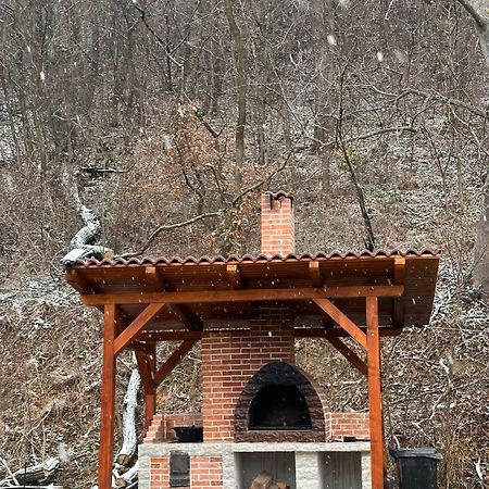 Вилла Casa Favorit Costesti  Экстерьер фото
