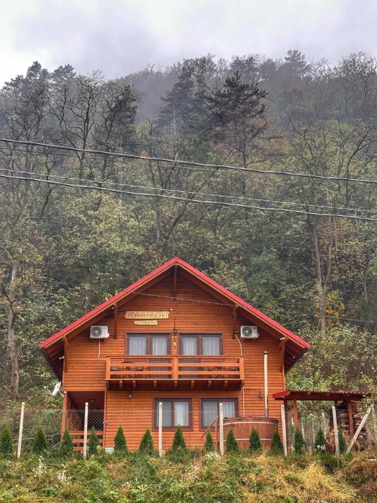 Вилла Casa Favorit Costesti  Экстерьер фото