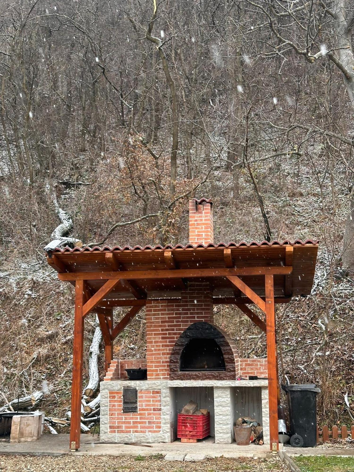 Вилла Casa Favorit Costesti  Экстерьер фото